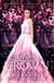 THE CROWN