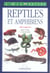 Reptiles et amphibiens