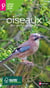 Gros plan sur : les oiseaux des parcs et jardins