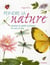 Peindre la nature - plantes et petits animaux en pas à pas