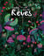 Cachés dans les rêves