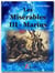 Les Misérables - Livre III : Marius