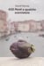 David horvitz 435 ponti e qualche scorciatoia (anglais)