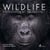 Wildlife photographer of the year : les plus belles photos de nature (édition 2021)