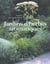 Jardin d'herbes aromatiques