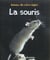 La souris