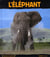 L'éléphant