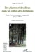 DES PLANTES ET DES DIEUX DANS LES CULTES AFRO-BRESILIENS : Essai d'ethnobotanique comparative Afrique-Brésil