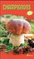 Champignons