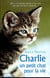 Charlie, un petit chat pour la vie