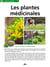 Plantes médicinales