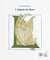 L'Alphabet des fleurs
