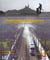 Cheminots en provence
