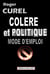 Colère et politique - mode d'emploi