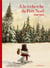 À la recherche du père Noël