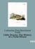 Little Downy: The History of a Field-Mouse : A Moral Tale of Adventure and Consequence