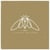 Cicada Rhythm