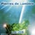 Pierres De Lumiere - CD