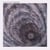 The spiral arm