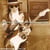 Live at carnegie hall - CD