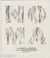 Noma