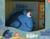 LES AMIS DE DORY - UN LIVRE ET UNE PELUCHE