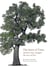 The story of trees