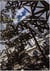 Conrad shawcross: the dappled light of the sun