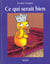 ce qui serait bien