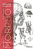 Morpho : anatomie artistique : carnet morpho : écorche un genre