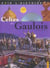 Celtes et gaulois