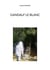 Gandalf le blanc