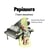 PAPINOURS, L'OURS MUSICIEN