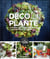 Déco plante