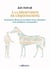A la découverte de l'équicoaching : Comment les chevaux nous guident-ils pour développer notre intelligence émotionnelle ?