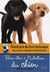 Bien-être et nutrition du chien