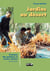 Jardins au desert - evolution des pratiques et savoirs oasiens. jerid tunisien.