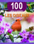 100 infos à connaître : les oiseaux