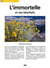 L'immortelle et ses bienfaits