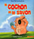 Le cochon et le savon
