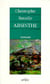Absinthe