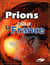 Prions pour la france