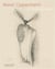 Meret oppenheim : arbeiten auf papier