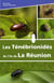 Les ténébrionidés de l'île de la réunion