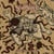 The Devil's Vertep
