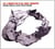 Le crepuscule des idiots - CD