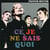 Ce je ne sais quoi