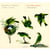 Guitar quintets