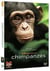 Chimpanzés