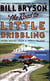 THE ROAD TO LITTLE DRIBBLING
